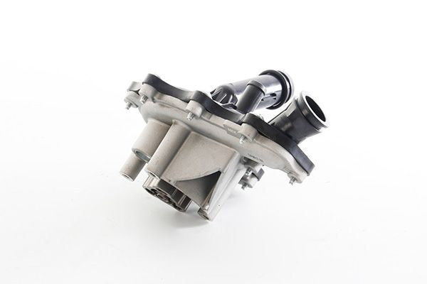 Devirdaim Su Pompası  Peugeot Boxer Kamyonet, Çift Kabin (2014->)  BSG 25-500-013