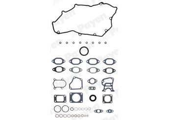 Takım Conta  PAYEN DX391  71713695 8096930 5001836511 500366528 99477119