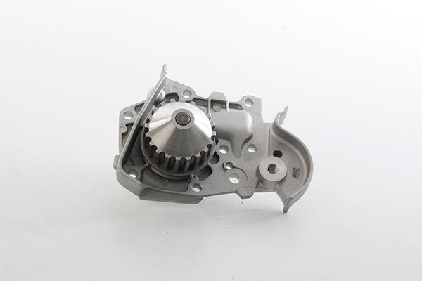 Devirdaim Su Pompası  Renault Megane I Cabriolet (EA0)(08.1995->)  BSG 75-500-005