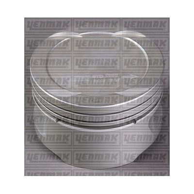 Piston (79.00MM-STD)  NÜRAL 8771683STD00AG