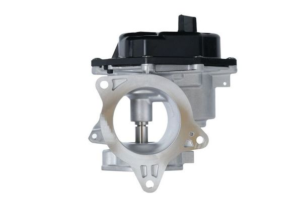 Egr Valfi  Volkswagen Amarok (2HA/2HB/S1B)(03.2010->2016)  HELLA 6NU 010 864-461