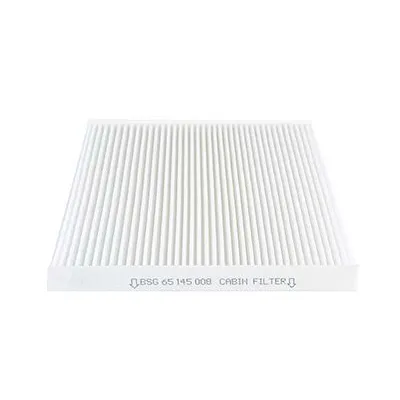 Polen Filtresi  BSG 65-145-008