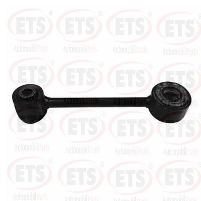 Viraj Demir Askı Rotu Arka Sağ veya Sol RIW FO4053