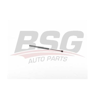 Bagaj Amortisörü Sağ veya Sol BMW 3 Serisi Touring (E91)(2005->)  BSG 15-980-046