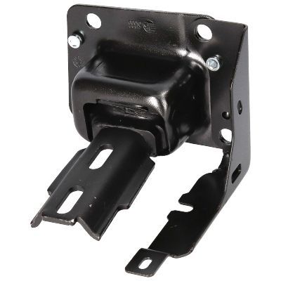 Şanzıman Takozu Sol Citroen C3 (09.2009->)  RIW CI12001