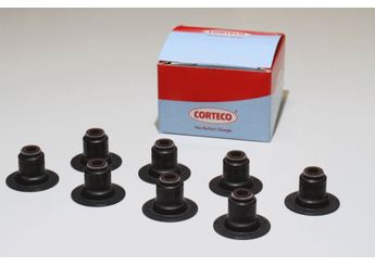 Supap Lastiği  REINZ 70-33876-00  70-33876-00