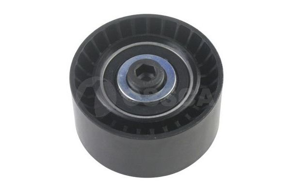 Vantilatör Kayış Gergi Rulmanı  BMW X6 Serisi (E71/E72)(07.2008->)  WENDERPARTS BA11287559887