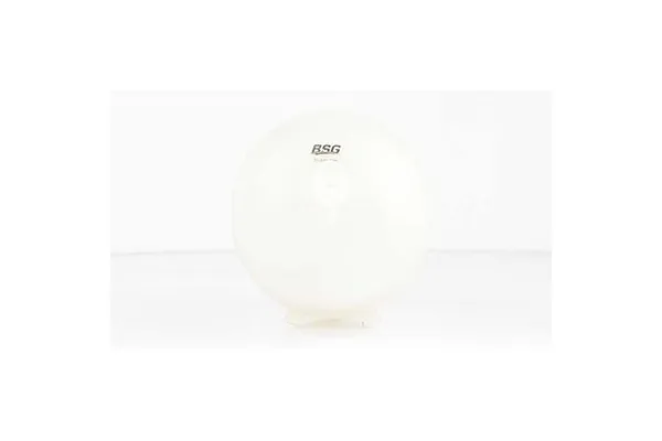 Radyatör Yedek Su Deposu  Peugeot 206 (08.1998->)  BSG 70-550-009