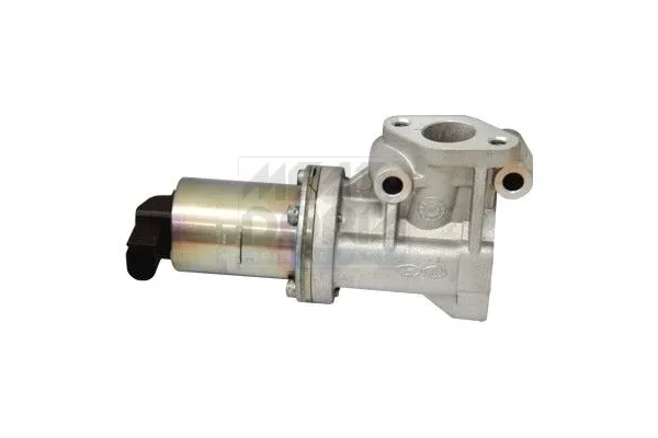 Egr Valfi  Kia Picanto (SA)(2004->)  HELLA 6NU 010 864-561