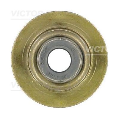 Supap Lastiği  REINZ 70-38546-00