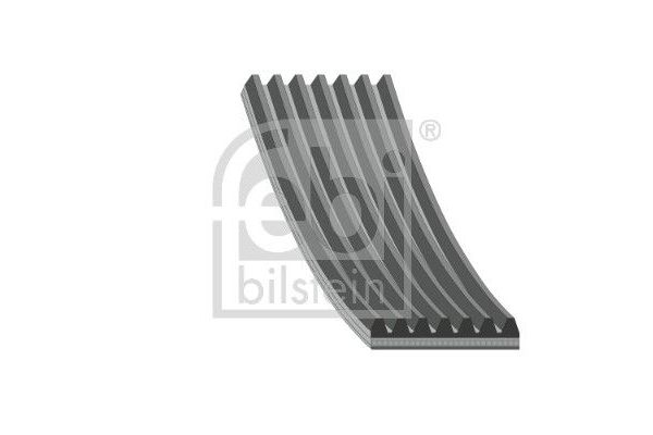 Vantilatör Kayışı  Renault Koleos II (05.2017->)  FEBI BILSTEIN 180079