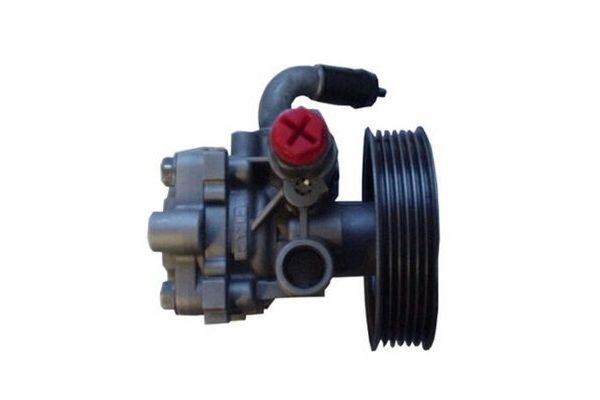 Direksiyon Pompası  SPIDAN 52725