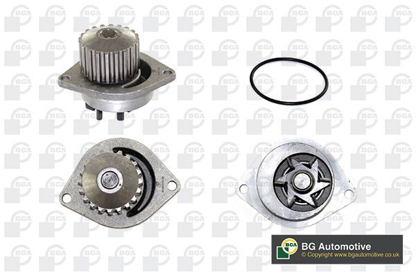 Devirdaim Su Pompası  Nissan Micra (K11)(02.1998->)  BGA CP2838