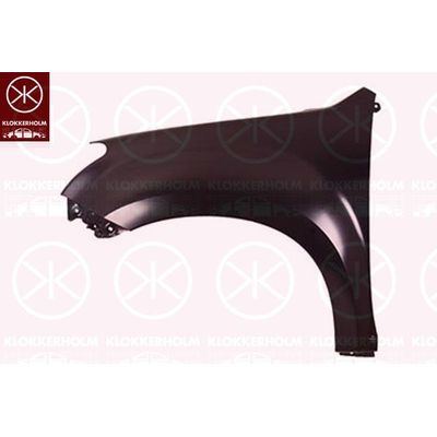 Çamurluk Ön Sağ FPI IZF055RA