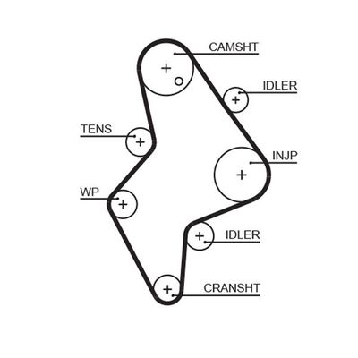 Triger Kayışı  GATES 5658XS