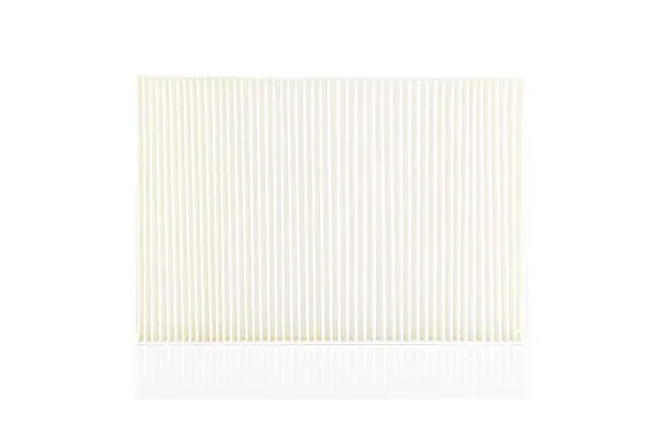 Polen Filtresi  Seat Exeo Sedan (3R2)(12.2008->)  BSG 90-145-009