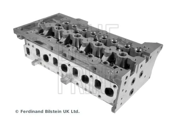 Silindir Kapağı  Fiat Panda (271) Van (2003->)  BLUE PRINT ADK87704C