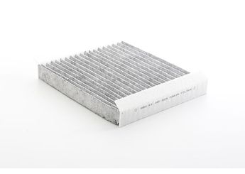 Polen Filtresi  BSG 65-145-025  1808527 13271407 93174801 95528291 93294546 6808605