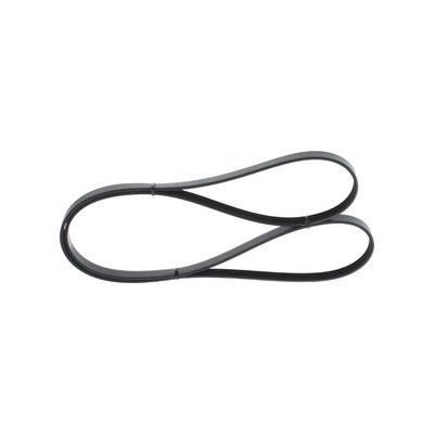 Vantilatör Kayışı  Ford Transit Kamyonet (EY)(1995->)  BOSCH 1 987 946 290