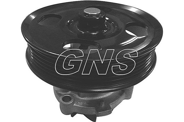 Devirdaim Su Pompası  GNS YH-FI198