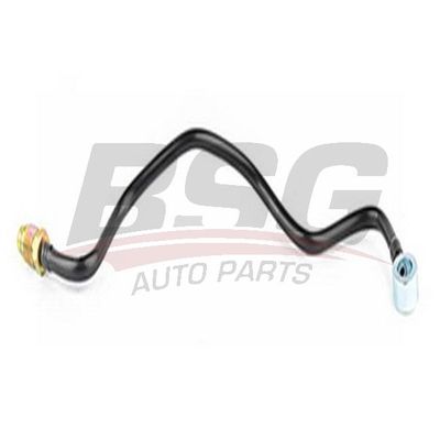 Yakıt Borusu  BSG 30-725-018