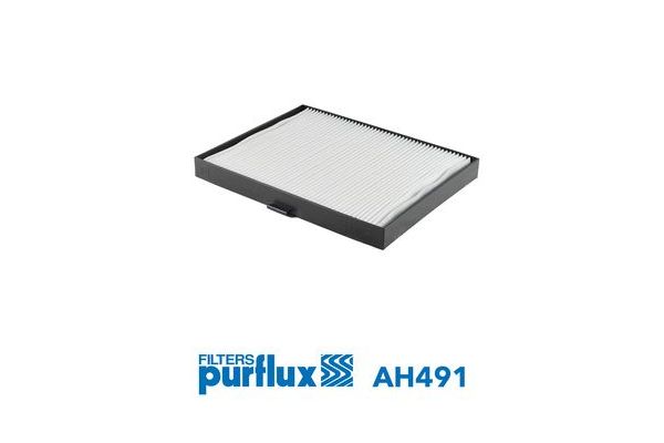 Polen Filtresi  PURFLUX AH491