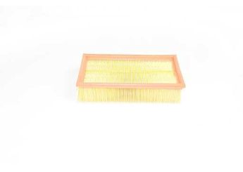 Hava Filtresi  BSG 75-135-007  8200399214 165460588R 8200437229 FA3013