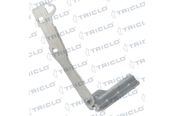 Motor Kaput Menteşesi Sağ Dacia Sandero (06.2008->)  ALPER 463032