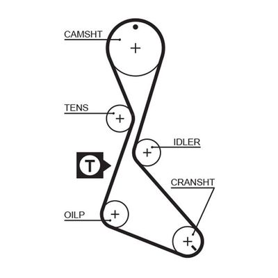 Triger Kayışı  Volvo Serisi 480 (1986->)  GATES 5370XS