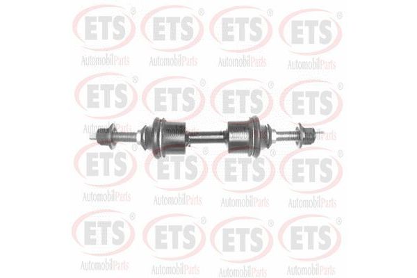 Viraj Demir Askı Rotu Ön Sağ veya Sol RIW FO4059