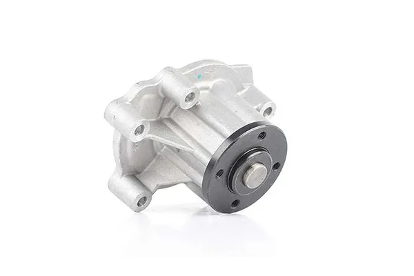 Devirdaim Su Pompası  BSG 60-500-013