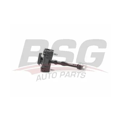 Kapı Gergisi Ön Sağ veya Sol Citroen C4 5 Kapı (06.2004->)  BSG 70-975-013