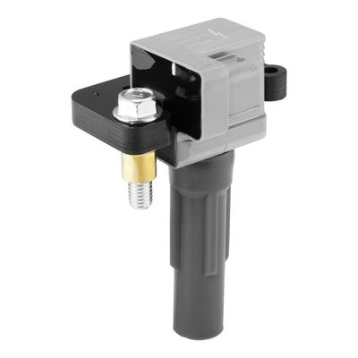 Ateşleme Bobini  BERU ZSE313