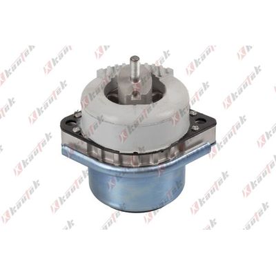 Motor Takozu Sağ BMW X6 Serisi (E71/E72)(07.2008->)  ASPART 8ESU1511