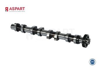 Eksantrik Mili  ASPART 8CAM1083  636028 97111168