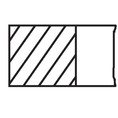 Segman (89.00MM-STD)  MAHLE 028 25 N0