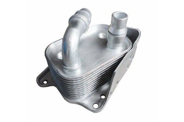 Motor Yağ Soğutucu  BMW 3 Serisi Cabrio (E46)(2000->)  MAGNETI MARELLI 359001602030