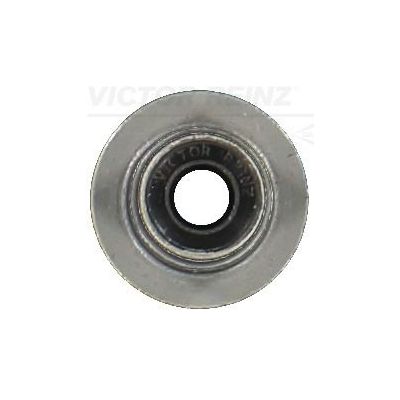 Supap Lastiği  REINZ 70-13246-00