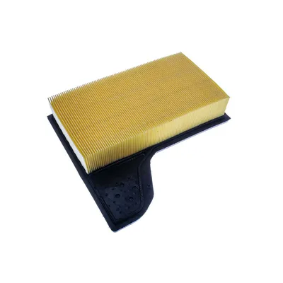 Hava Filtresi  Ford Mustang (CZG/S550)(2015->)  FORD ORJINAL FR3C9601AA