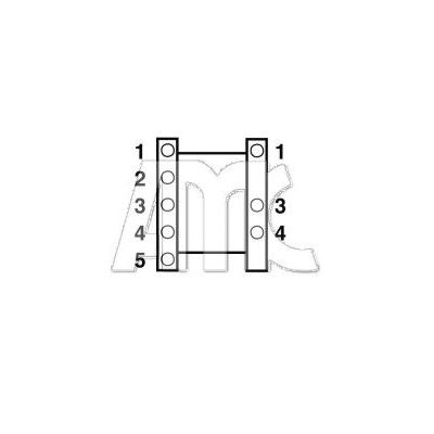 Eksantrik Mili  ESTAS 45009