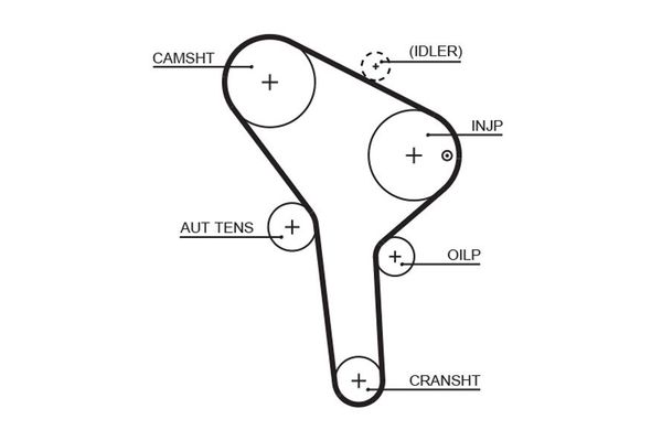 Triger Kayışı  Skoda Felicia Sedan (791)(11.1994->)  GATES 5564XS