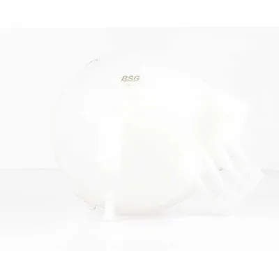 Radyatör Yedek Su Deposu  Volkswagen Crafter Kamyonet (2F)(03.2006->2017)  BSG 90-550-010