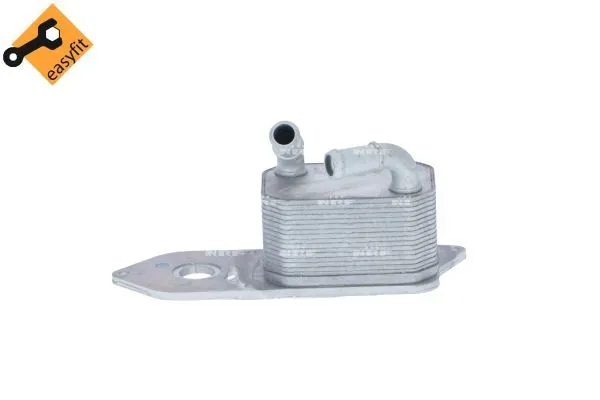 Motor Yağ Soğutucu  Ford Transit Kamyonet (TTG)(2013->2019)  NRF 31795