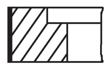 Segman (81.01MM-0.50)  MAHLE 029 90 N2  029 90 N2