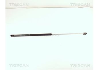 Bagaj Amortisörü Sağ veya Sol BSG 25-980-030  7606304 76063040