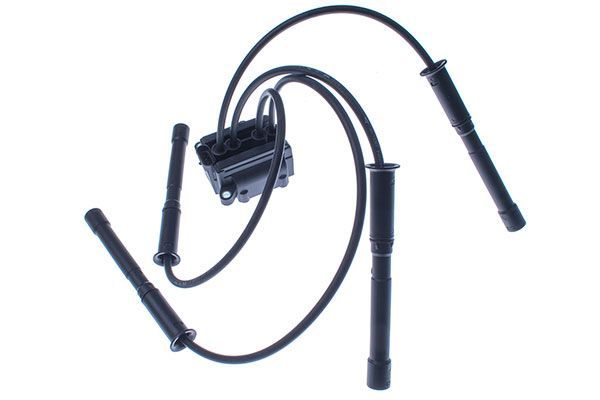 Ateşleme Bobini  FAE 80206