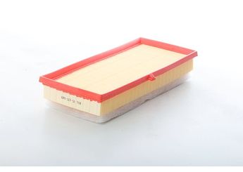 Hava Filtresi  BSG 85-135-009  178010N040 17801-0N040