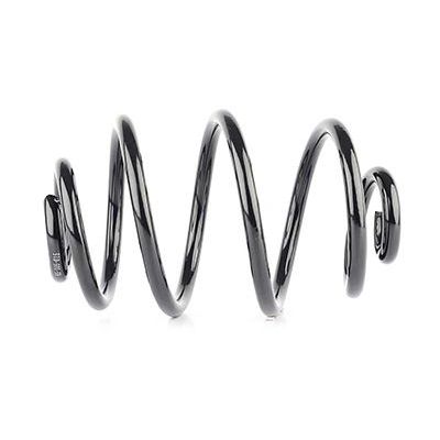 Helezon Yayı Arka BSG 65-305-015