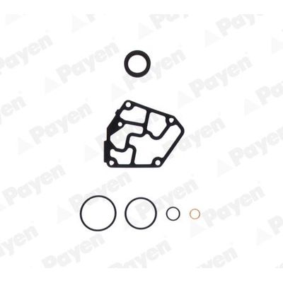 Takım Conta  PAYEN EC060