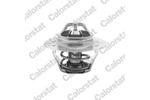 Termostat  Peugeot 309 (02.1986->)  CALORSTAT TH5108.89J